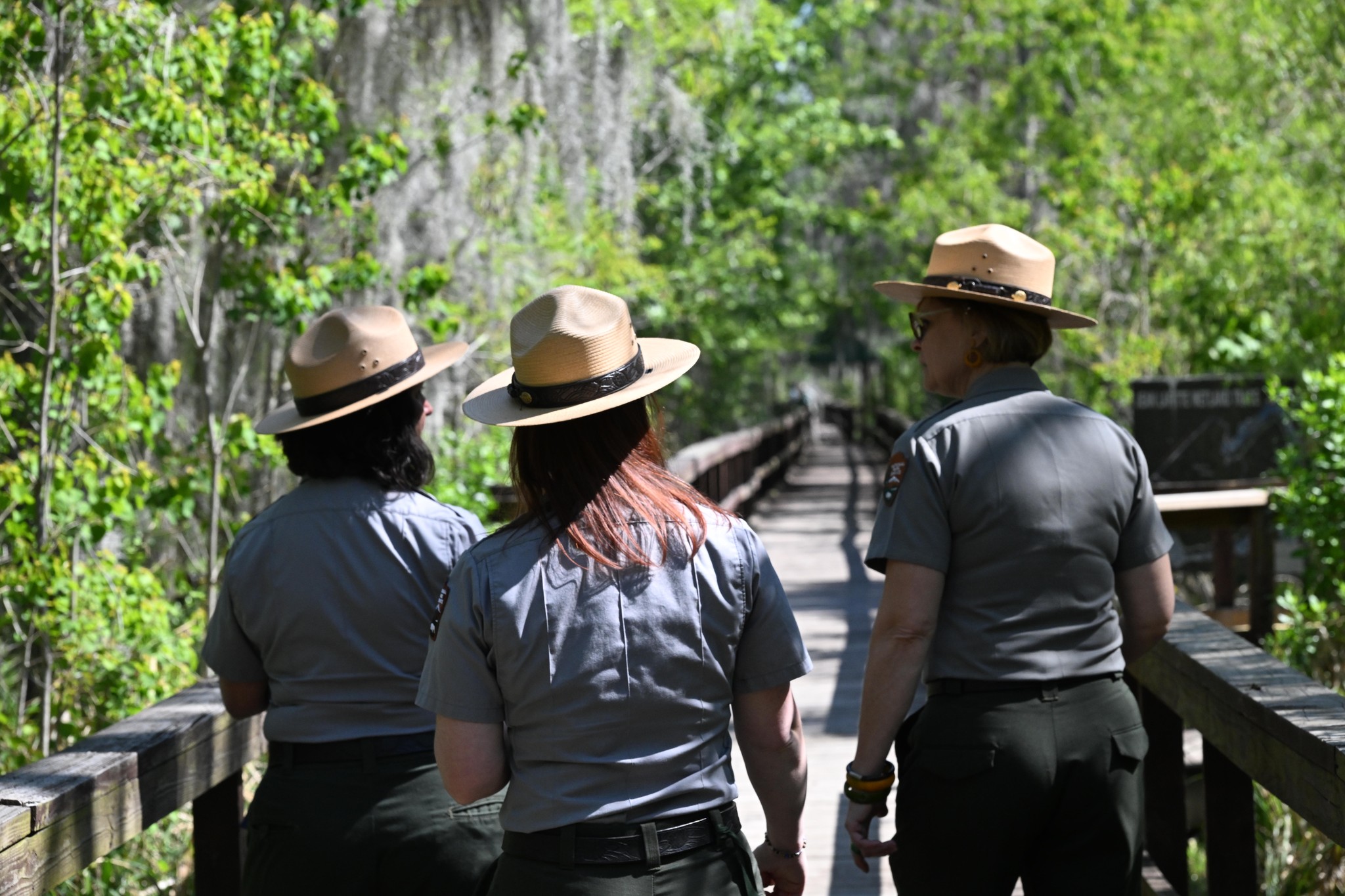 wetlands workers